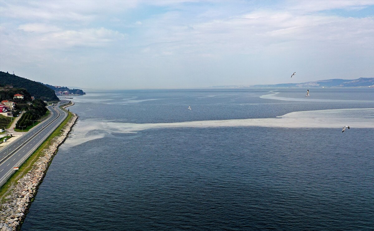 İzmit Körfezi'nde su yüzeyinde deniz salyasından (müsilaj) kaynaklı beyaz tabaka oluştu.