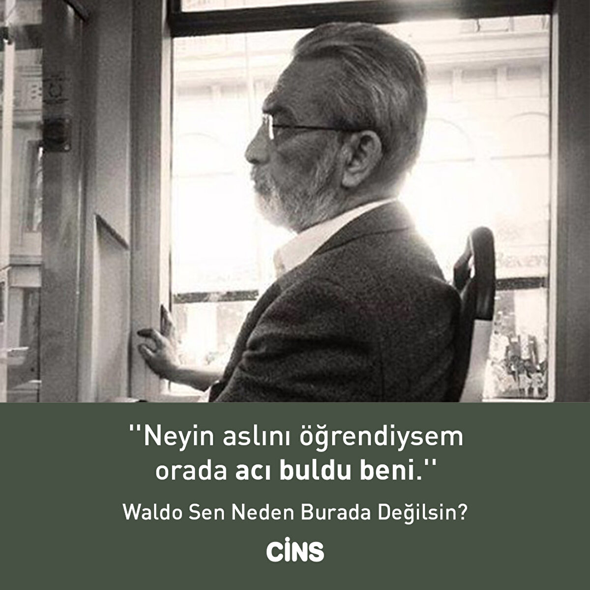 ''Neyin aslını öğrendiysem orada acı buldu beni.''  Waldo Sen Neden Burada Değilsin?