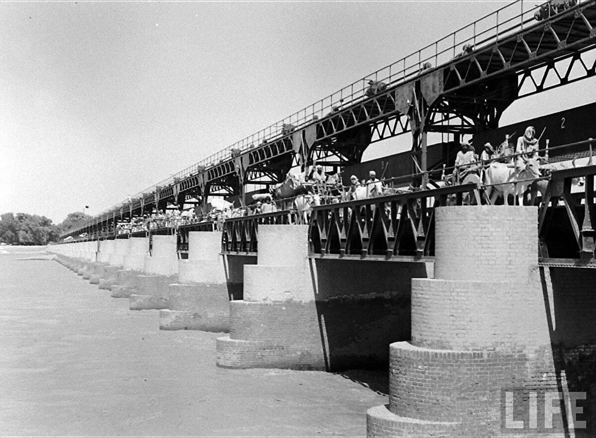 1947 yılındaki büyük göç sırasında 10 milyondan fazla insan anavatanından çıkarıldı ve kimi yaya olarak, kimi de kağnılarla veya trenlerle vaat edilen yeni vatanlarına doğru yola çıktı.