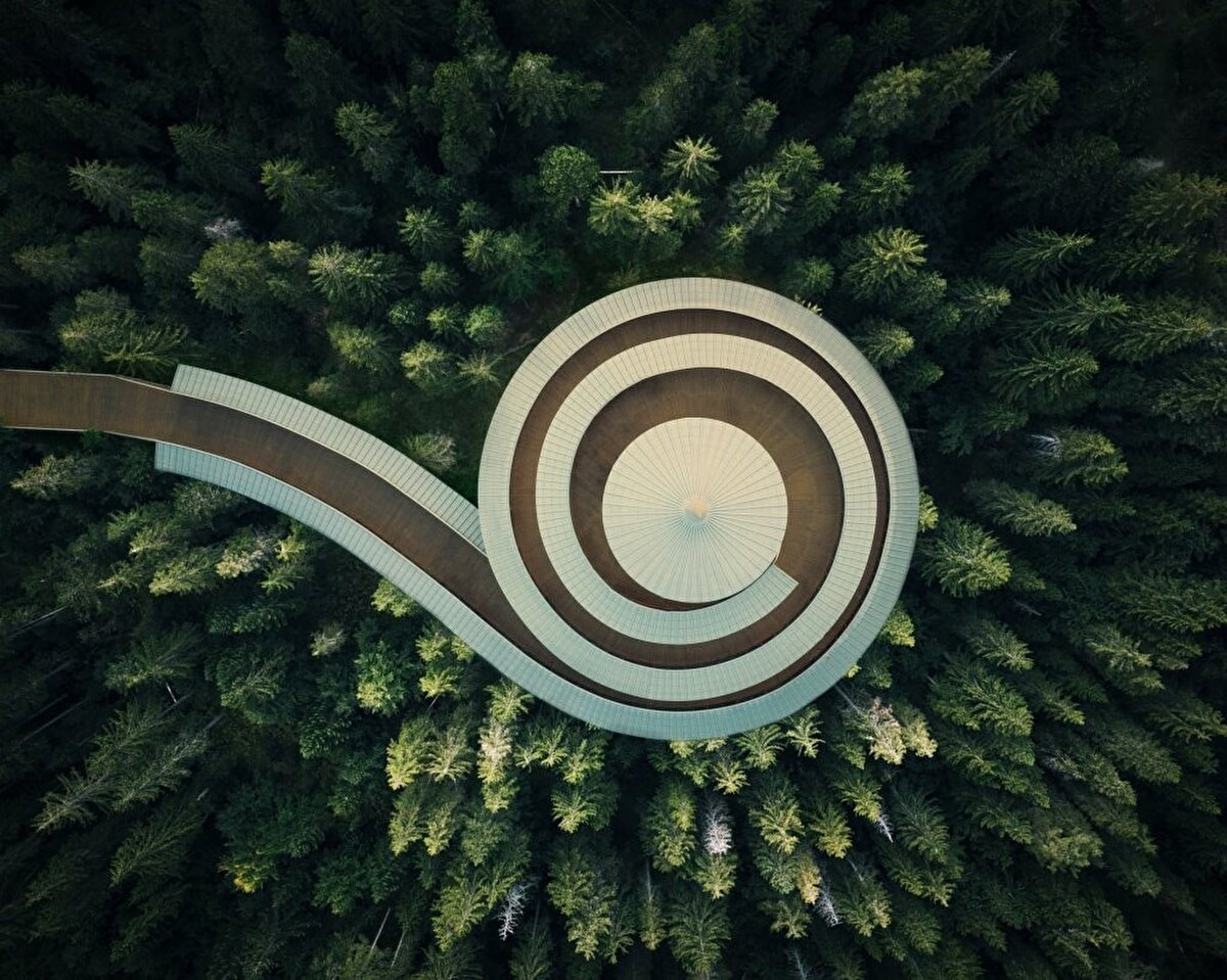 2- Superdog - Number 9