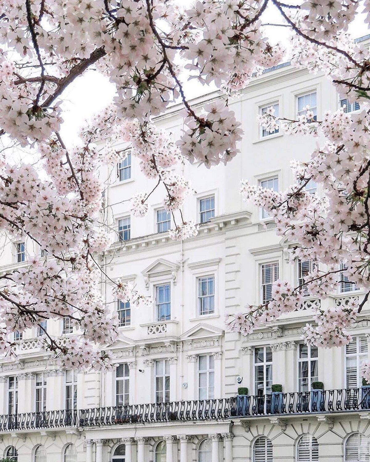 Şunu belirtmeden geçmeyelim, Londra'da devlet müzelerinin girişi ücretsiz, istersen çıkarken bağış yapabiliyorsun.⠀