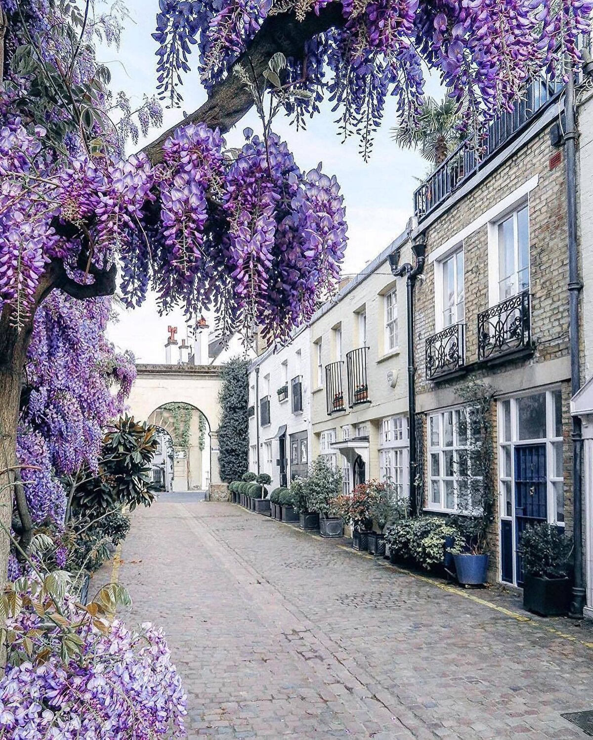 Eğer bir alışveriş tutkunuysan doğru yerdesin, her bütçeye göre zevkli ürünler bulmak mümkün, lüks markaların koleksiyon ürünlerine ya da butik mağazaların tamamen el işçiliği tasarım ürünlerine ulaşabilirsin.