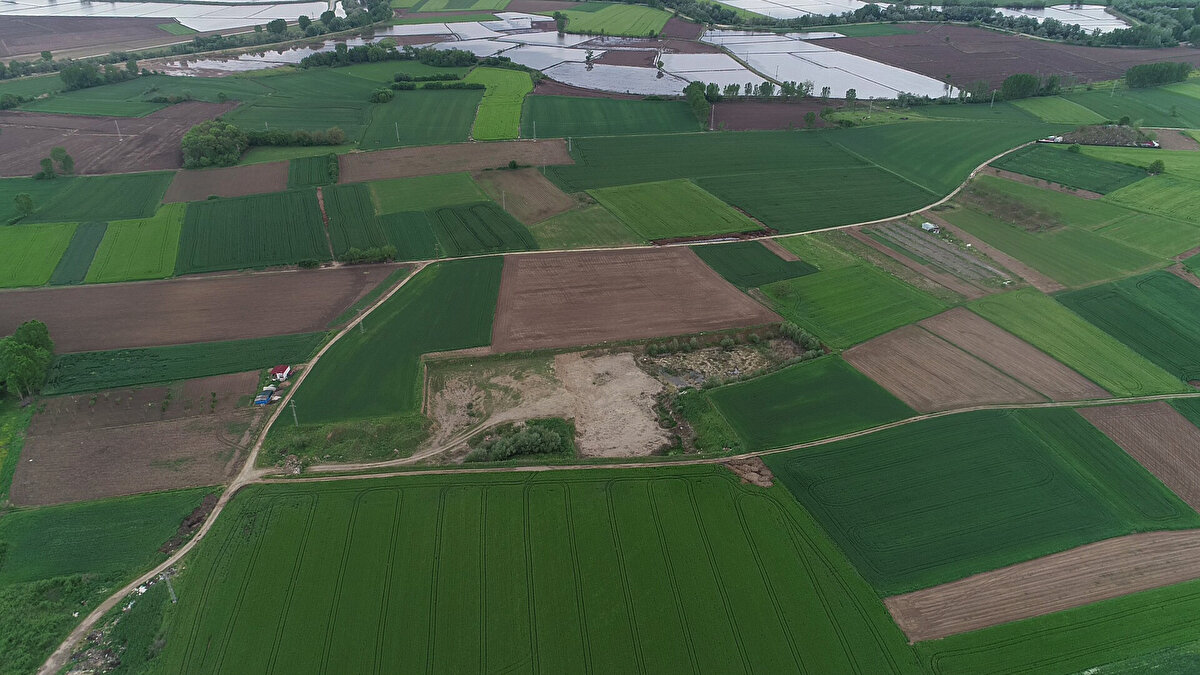 Bunun üzerine harekete geçen bazı kişilerin özellikle gurbetçilerin yoğun olarak yaşadığı Avrupa'da, Trakya'dan parsel satmaya başladığı öğrenildi. Emlakçılar ve uzmanlar, arsa spekülatörlerine karşı halkı uyardı.