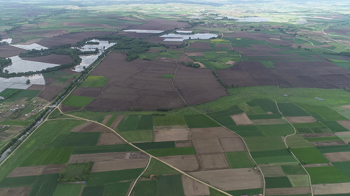 Bill Gates gibi küresel yatırımcıların, yatırım yapacağı zaman kendisinin ya da şirketinin hemen ortaya çıkmayacağına dikkat çeken Döleneken, "Bu gelişmenin kolay kolay ortaya çıkmasını istemez. Böyle bir konu ortaya çıkıyorsa, gerçek olsa da olmasa da bir nedeni olabilir, daha önce burada yatırım yapmış olanlar yerlerini değerlendirmek, fiyatlarını artırmak için bu tür haberlere, sansasyona ihtiyaç duyarlar, bunu ortaya çıkartmak için yapılan bir söylentidir bence. Böylece burada, özellikle pandemi nedeniyle durağanlaşan emlak piyasasını canlandırmak için bir haberdir, diye düşünüyorum" dedi.