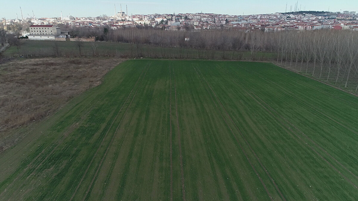 Tekirdağ'da 32 yıllık emlakçılık yapan Hasan Alçam ise vatandaşların bu söylentilere inanmaması gerektiğini ifade etti. Alçam, "Vatandaşımızı böyle şeylere inanmasınlar. Özellikle gurbetçi kardeşlerimizi bu şekilde kandırıp fırsatçı emlakçılar da bu durumdan faydalanmaya çalışıyorlar. Burada büyük firmaları kullanıyorlar. Böyle şeylere inanmasınlar. İnsanları böyle kandırıyorlar. Diyorlar ki, buradan yol geçiyor, burayı Amerika veya Arap firması aldı deyip satış yapıyorlar. Milletimiz de temiz kalbiyle inanıyor bunlara" diye konuştu.
