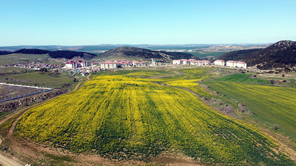 Trakya Umum Emlak Müşavirleri Derneği Edirne Şube Başkanı Aytaç Feda da söz konusu iddianın gerçekliği konusunda bir bilgileri olmadığını belirterek, vatandaşların söz konusu iddialara kulak asmaması gerektiğini belirtti. Feda, "Toprağımızın değerini bilelim. Dış yatırımcıya toprağımızı, elimizden geldiğince satmamaya çalışalım. Bedava gidiyor şu anda arsalar. Burada yapılacak bir yatırım 10 yıl sonra Avrupa pazarından yeniden Türkiye'ye pazarlanacak. Bunları insanımızın bilinçlenerek görmesi, bu yatırımları kendileri yapması gerekiyor" diye konuştu.