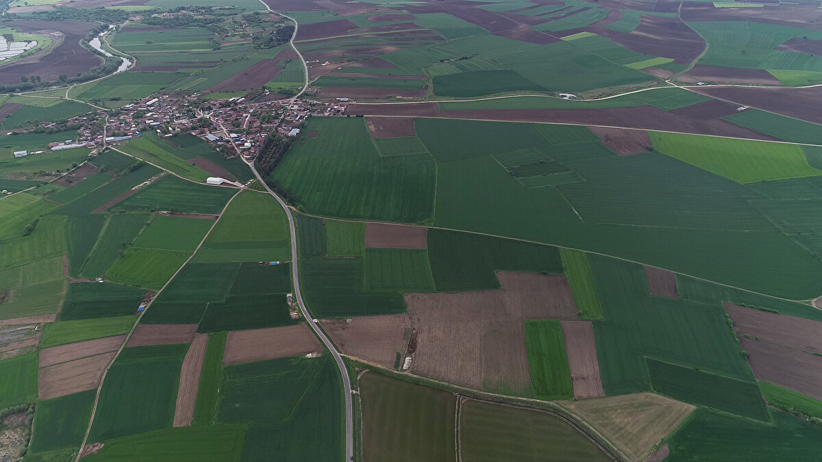 Dünyanın en zengin insanları arasında bulunan Microsoft'un kurucusu Bill Gates'in Trakya'da toprak aldığına ilişkin iddialar, sosyal medya ve bazı bazı yerel haber sitelerinde yer aldı.