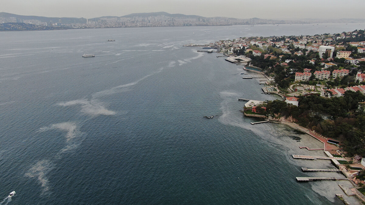 Sahildeki görüntünün hiç hoş olmadığını söyleyen Büyükada sakini Rümeysa Uzun, "Arkadaşlarımla sahile gezmeye geldik. Ancak denizin çok kirli olduğunu fark ettik. Başlarda denizde ne olduğunu anlamadık ama normal bir kirlilik olmadığı çok belliydi. Kokusu çok kötü. Görüntüsü de hiç hoş değil. Bir adalı olarak denizlerdeki bu durum bizi çok rahatsız ediyor. Geçen senelerde sahilde böyle bir şey görmemiştik" dedi.