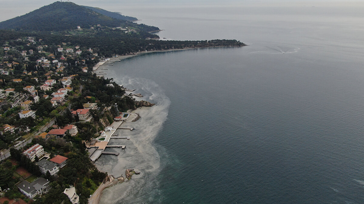 Gün geçtikçe deniz salyalarının arttığını söyleyen Ozan Emre Gündürü ise, "Sahile çok seyrek geliyorum. Deniz salyalarının özellikle kokusu bizi çok rahatsız ediyor. Bu şikayetlerimizi belediyeye bildirmemize rağmen bir dönüş alamadık. Deniz gün geçtikçe deniz salyaları yüzünden daha kötü olmaya başladı. Eskiden bu kadar çok yoktu son zamanlarda daha fazla deniz salyası görülmeye başladı" ifadelerini kullandı.
