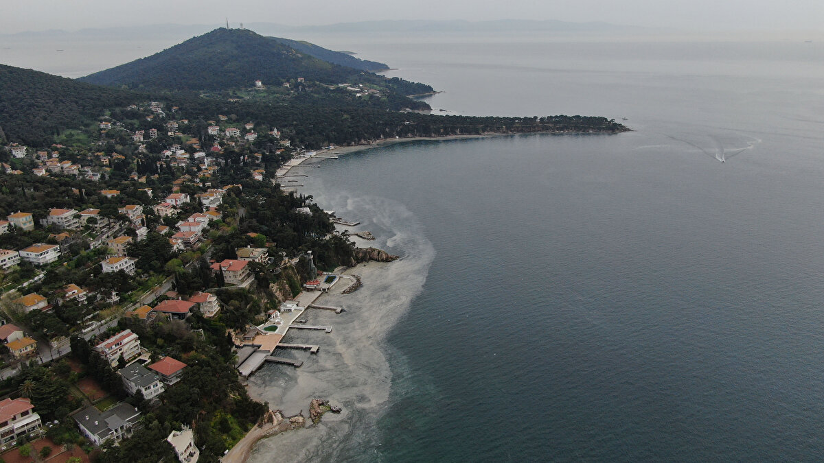 Marmara Denizi'nde sık sık görülmeye başlanan deniz salyası da olarak bilinen müsilaj şimdi de Büyükada'yı sardı.
