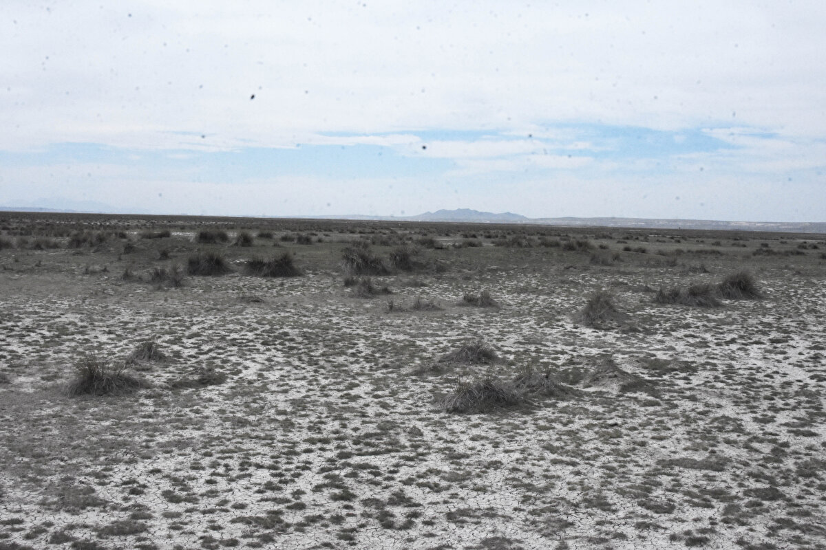 Prof. Dr. Arık, Kayalı bölgesindeki obrukların yerleşim yerine de yakın olduğunu belirterek şunları söyledi:

''Kayalı bölgesindeki obruklar, yerleşim yerlerine yaklaşık 600 metre kadar mesafede oluşmuş. Geçtiğimiz yıllarda bölgenin birçok yerinde yerleşim merkezlerinin içerisinde de obrukların oluştuğunu gördük.  O nedenle bölge içerisindeki obruk oluşumları büyük bir risk. Bununla ilgili de çalışmalar yapılıyor. Son iki yıldır devletimiz bu konuda kurumlarıyla birlikte çalışmaya başladı ve Konya Teknik Üniversitesi, Obruk Uygulama ve Araştırma Merkezi'ni kurarak  AFAD İl Müdürlüğümüzün  yaptığı bir çalışmaya gerekli bilimsel desteği veriyoruz. Çalışmalara Konya Büyükşehir Belediyesi, Karapınar Belediyesi ve KOP İdaresi de destek vermektedir.''