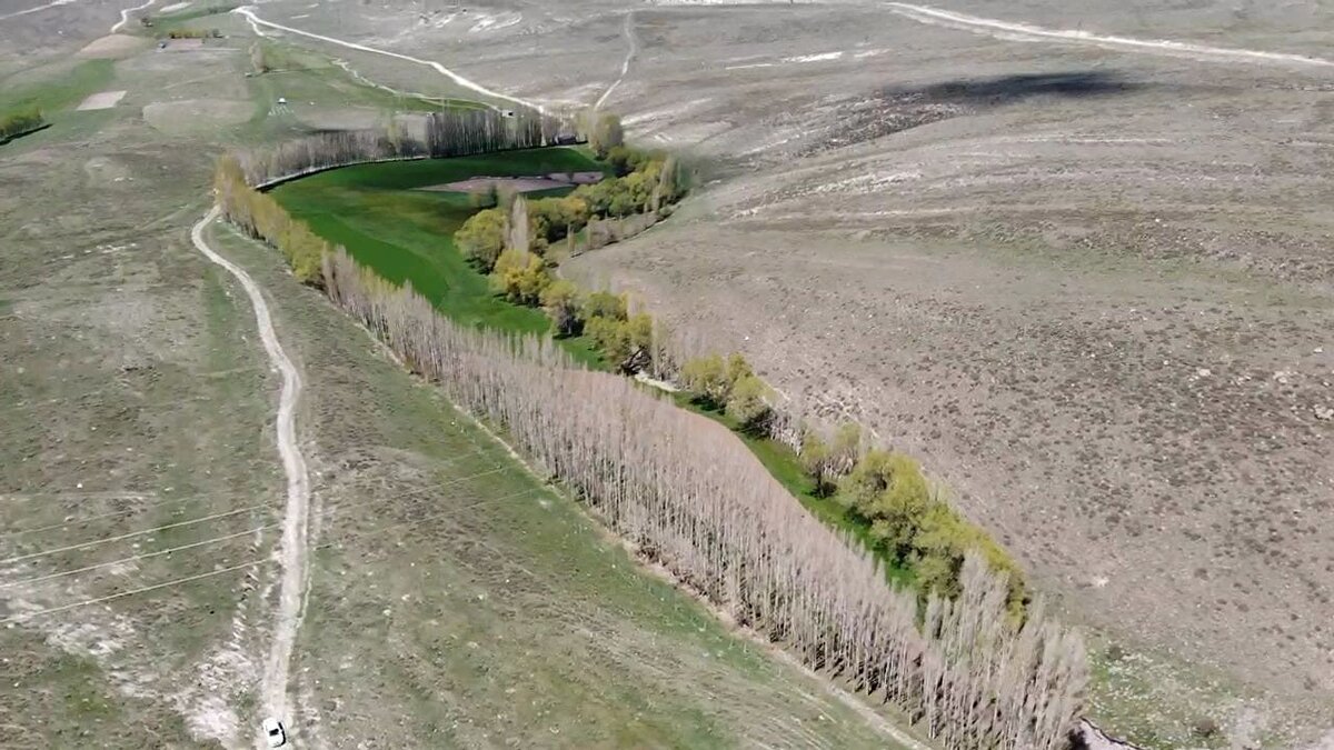 Erzurum’un Yakutiye İlçesine bağlı Çayırtepe Mahallesinde Muammer Bıldırcın’a ait olan ağaçlık alan bozkıra yıllardır renk katıyor. Bıldırcın’ın 60 yıl önce dedesi tarafından başlatılan ağaç dikme geleneği babası ve kendisinde de devam edince arazilerinin etrafı binlerce kavak ağacıyla sarıldı. Aradan geçen 60 yılın ardından olgunlaşan kavak ağaçları bugünde bozkırın ortasında yemyeşil yapraklarıyla adeta vaha gibi kendilerini sergiliyorlar.Muammer Bıldırcın ise kavak ağaçlarına ve bahçesine o kadar ilgi gösteriyor ki onları çocuklarından ayırmıyor. Her sabah işe gelir gibi ağaçlarına ve bahçesine gelen Bıldırcın, her gün bahçede ki yaprakları ve ağaçlardan düşen dalları toplayıp, arazisini suluyor.
