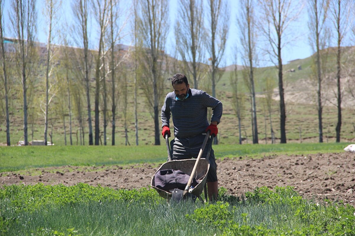 Çok fazla kişinin araziyi ve ağaçları satın almak istediğini fakat kendisinin emeğini parayla satmayacağını vurgulayan Bıldırcın, “Yazları buraya misafirler gelir onları ağırlarız. Bazıları burayı bizden parayla istiyorlar. Emek parayla satılmaz. Ben onlara tır dolu para verseniz yine burayı satmam diyorum. Çünkü burada benim emeğim var. Bu hale gelene kadar ne çektik. Satmayı kesinlikle düşünmüyorum. İşlerin yoğunluğu bitti mi buranın artık zevkini çıkarmaya başlıyoruz. Çocuklarımızla gelip dinleniyoruz, temiz hava alıyoruz. Ben inanıyorum ki yarın biz ölüp gittiğimizde buraya gelen insanlar “Allah razı olsun ne kadar güzel yer yapmışlar” diyecekler“ ifadelerini kullandı.