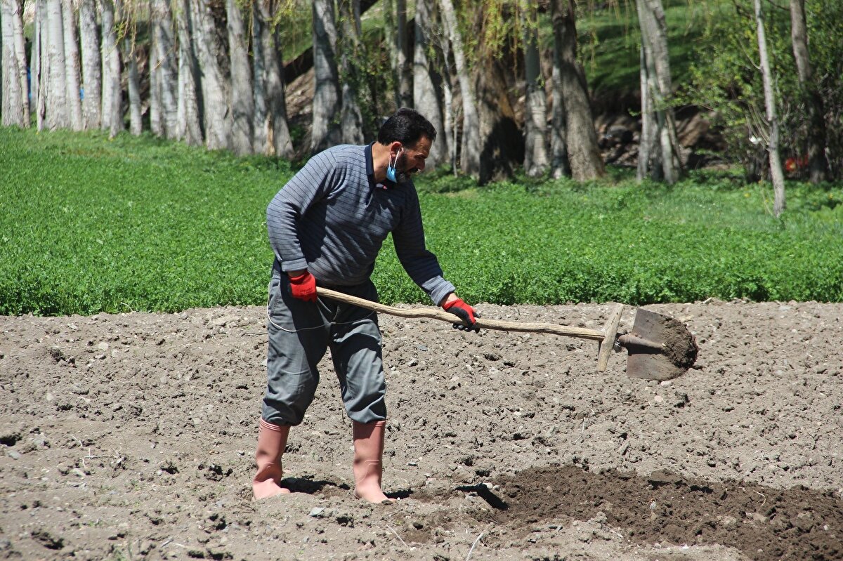 Her gün düzenli olarak gelip arazinin ve ağaçların bakımını yaptığını kaydeden Bıldırcın, “Buraya sabah erkenden gelirim. Sahurumu yapar buraya koşarım. Bugün gelince burayı ilk önce gübreledim. Daha sonra tarlada ekilecek yerleri hazırladım. Yaprak ve ağaç dallarını topladım. Burada uğraş bitmez ki bir iş bitse diğeri başlar. Birazdan suyolu açacağım mesela bu şeklide günüm bitecek. Bu vadinin taşı olmaz. Hepsi çalışmakla oluyor. Her gün topluyoruz. Atalarımızın dediği gibi ‘bakarsan bağ, bakmazsan dağ olur’. Ramazan’da sahurdan sonra gelir öğlen giderim. Diğer zamanlarda öğleden sonra gelir akşama kadar çalışırım. İnsanlara tavsiyem tembel olmayın çalışın” dedi.