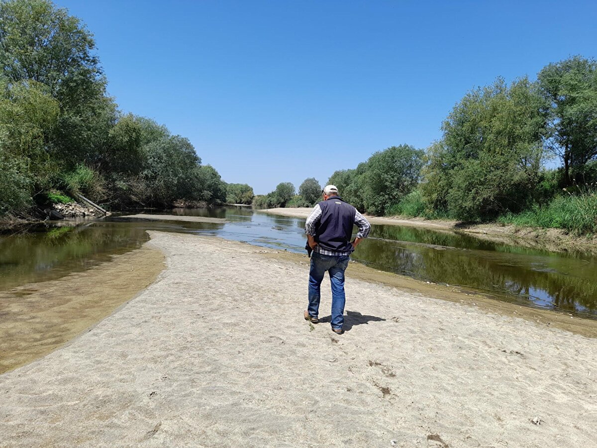 Daha önce taşkınlarla gündeme gelen Büyük Menderes Nehri'nin kuruması Aydın Ovası'ndaki çiftçileri tedirgin etti.

