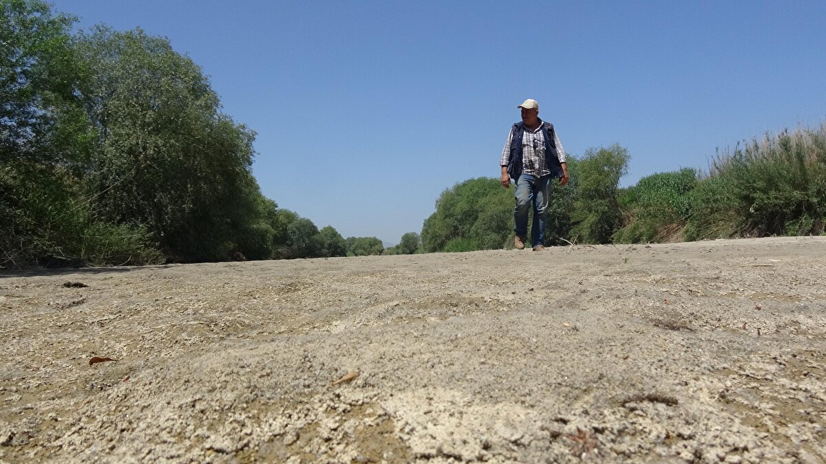 "Durum böyle olunca çiftçilerde kendi başlarının çaresine bakmak için sondaj kuyusu açmaya çalışıyor. Ancak, yağmur yağmaz ise o sondaj kuyularının da çok uzun süre kullanılacağını sanmıyorum. Bizim can damarımız sudur. DSİ'de bu yıl 2 kez sulama suyu vereceğini bildirdi. 2 defa sulamayla hiçbir mahsul olmaz. Yılların Menderes Nehri'nin şu an üzerinde yürüyoruz" dedi.

