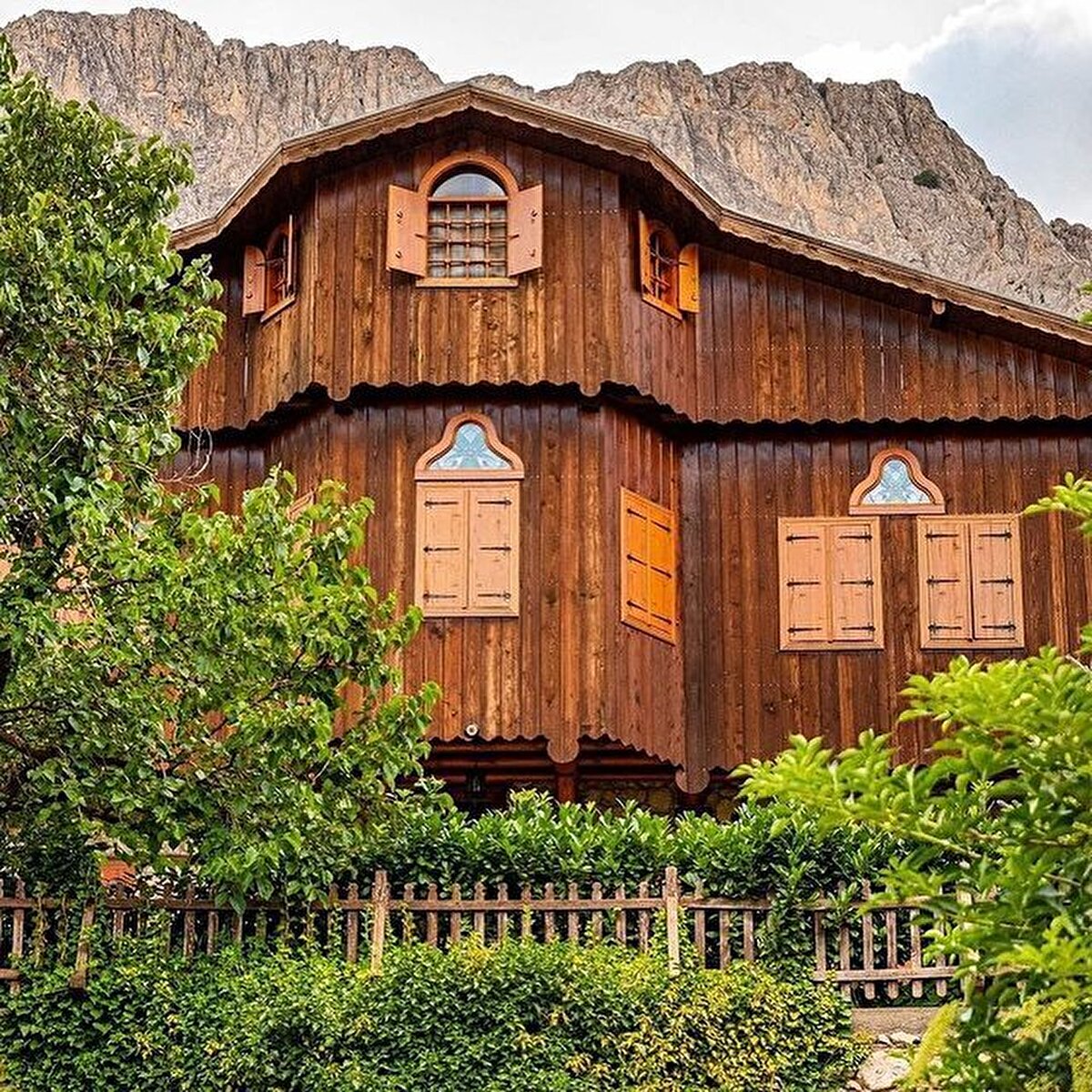 Bitki örtüsünün çeşitliliği ve canlılığı ilk bakışta büyüleyebilir. Türkiye'nin hiçbir yerinde görmediğimiz bu bitkiler, kapı tokmaklarına nakşedilmiş kertenkele görünümlü yağmur böceği veya Türk semenderi denilen böcek de sadece bu bölgeye ait. ⠀