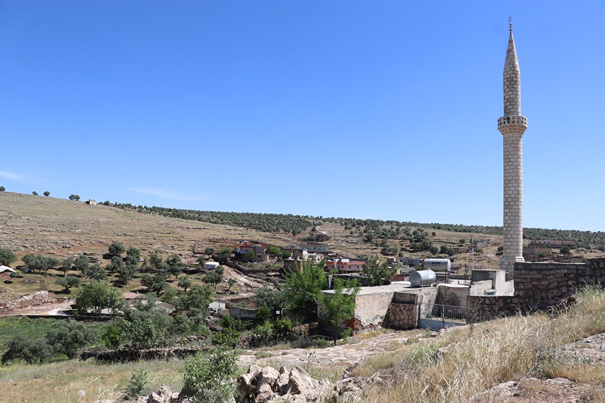 Midyat’ın 70 haneli kırsal Pelitli Mahallesi`nde, pandemi boyunca koronavirüs vakasına rastlanmadı.
