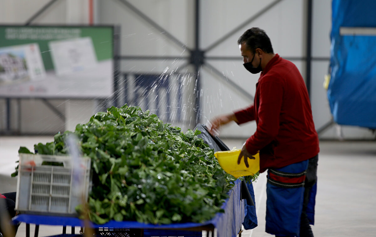 Vatandaşa taze ürün ulaştırılmasında halk pazarlarının önemli olduğunu vurgulayan Tunca, halk pazarlarının açılması ile ellerinde ürün kalmayacağını kaydetti.
