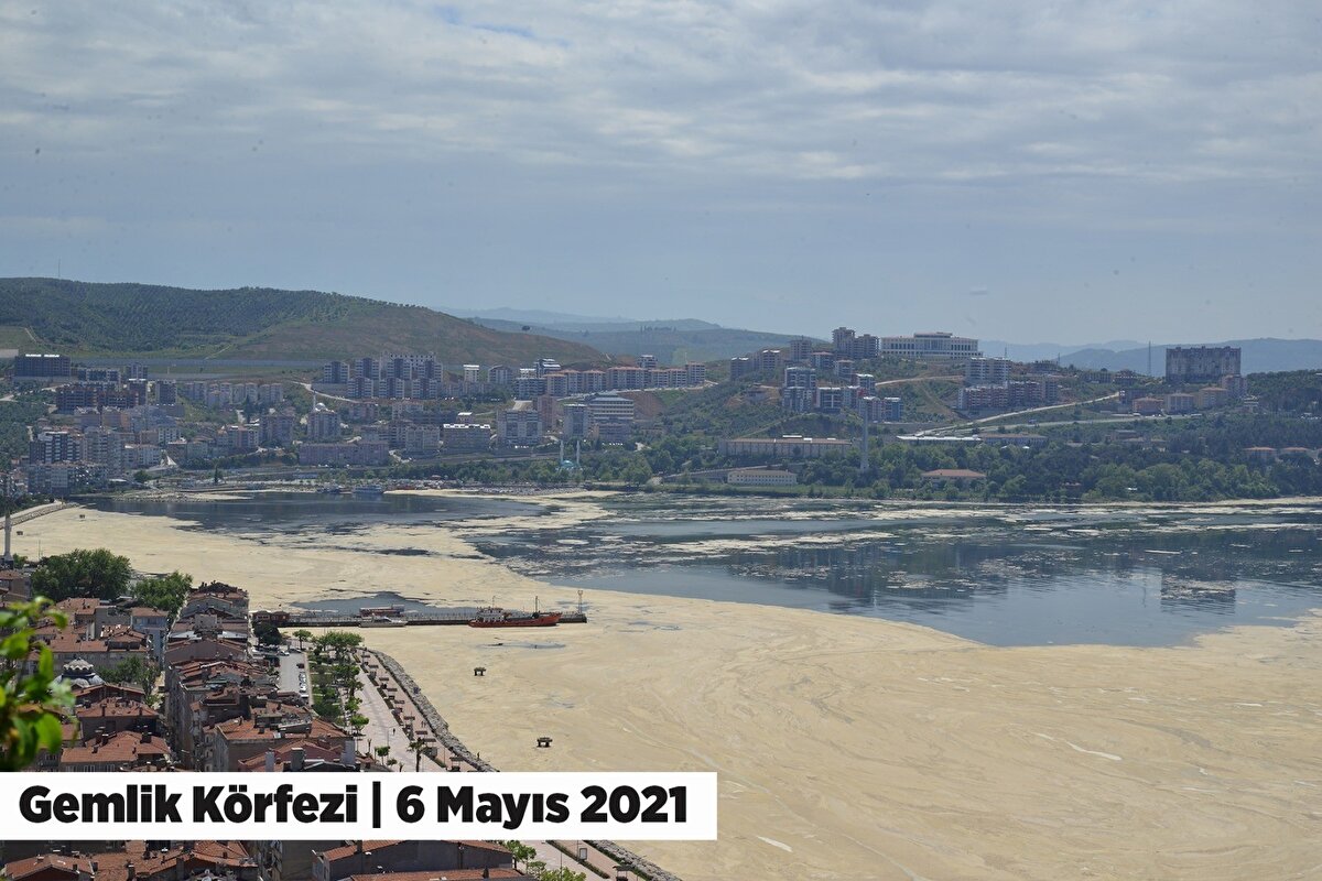 Gemlik Körfezi'nin görüntüsü bir gecede değişti. Körfezi neredeyse istila eden deniz salyası tabakası uydudan bile görülürken, körfezin sarıya boyanmış dev bir tabaka gibi görüntüsü vatandaşları ve balıkçıları tedirgin ediyordu.

