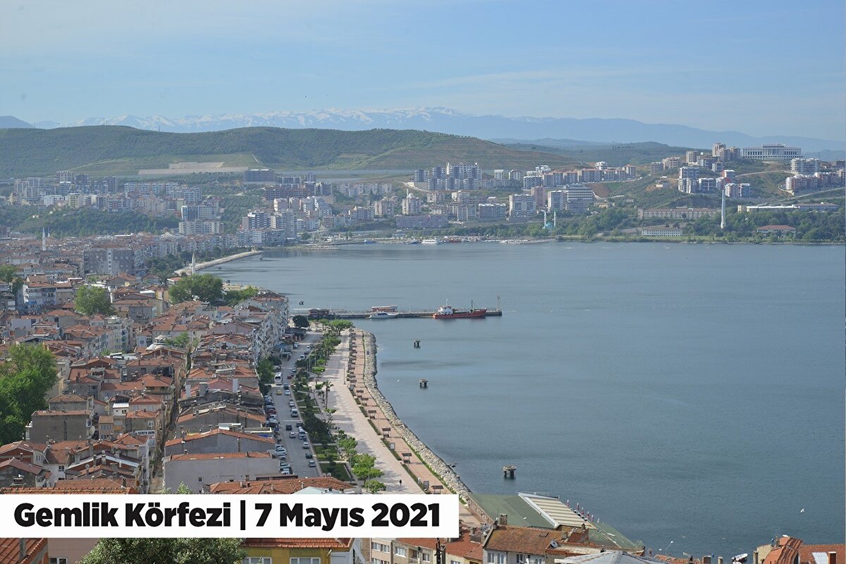 Gemlik Belediye Başkanı Mehmet Uğur Sertaslan, "Marmara’yı hep birlikte beton ile çevrili bir göl haline getirmeseydik deniz bu organizmayı atacak kıyı ve kumsal bulabilecekti ve muhtemelen bu kadar rahatsız etmezdi bizi. Mecbur dibe çökene kadar bekleyeceğiz" sözleriyle yaptığı açıklamanın ardından dün gece saatlerinde etkili olan lodos Gemlik Körfezini deniz salyalarını açığa sürüklemesiyle sahil bandı eski görüntüsüne dönmeye başladı.
