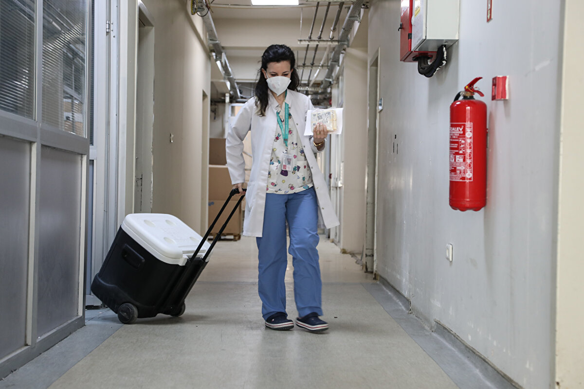 İstanbul'da en çok aşılamanın yapıldığı merkezlerden Başakşehir Çam ve Sakura Şehir Hastanesi'nde şimdiye kadar 25 binin üzerinde BioNTech aşılaması yapıldı.

Hastanede yaklaşık günlük 4 bin 500 kapasiteyle BioNTech aşılamalarının ikinci dozlarına da geçtiğimiz günlerde başladıklarını söyleyen Çam ve Sakura Şehir Hastanesi Genel Hastane Başhekimi Dr. Öğr. Üyesi İdris Kurtuluş, "Soğuk zincire tam uyulması gereken bir aşı. Bu nedenle de belirli prosedürlere uymak çok önemli. Tamamen iğne ile kuyu kazar gibi, ilmek ilmek dokunarak planlamalar yapılıyor. Bu aşı o kadar titizlikle ve o kadar farklı ve zorlu süreçlerle buralara getiriliyor ki, randevusunu alan bir vatandaşımız buraya gelip bu aşıyı olmadığı zaman, bizim elimizde tek doz aşı ile ne yapacağız korkusu başlıyor. Hakikaten bu bir vebal. Çünkü bütün dünyada aşı savaşları var. Herkes aşı bulmaya çalışıyor. Bunun için de 08.00 ila 24.00 arasında olan aşılama saatlerini, yeri geliyor gece 3'e 4'e kadar uzatabiliyoruz" dedi.