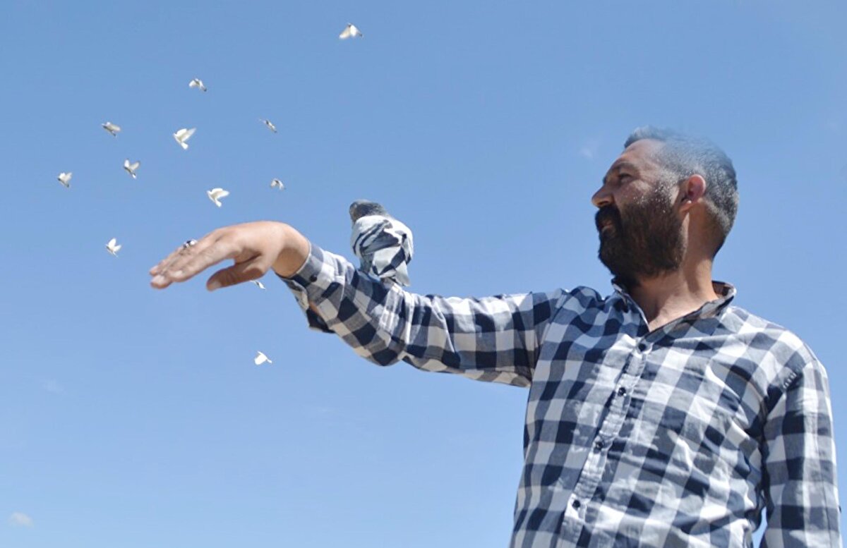 Güvercin tutkusunun her türlü stres ve kötü alışkanlıktan da uzak tuttuğunu belirten Kaya, oğlunu da bu sevgiyle tanıştırdı. Güvercin beslemenin kendisi için bir tutku olduğunu belirten Kaya, "7 yaşından beri güvercin besliyorum. Bu hobi bana ağabeyim ve ailemden kaldı. Yıllarca ağabeyim güvercin besledi, sonra bu sevdayı ben sürdürmeye başladım. Benden sonrada bu işi oğluma miras bırakacağım. Bu bizim için bir sevda ve tutkudur. Sadece güvercinlerim için 300 bin liraya iki dönüm arazi satın aldım. Daha sonrada bu araziye yaklaşık 50 bin lira daha harcayarak birini arazide üçünü de evimin bahçesinde olmak üzere 4 konteyner kümes kurdum. Şu anda bir pandemi süreci yaşıyoruz. Bu kısıtlama sürecinde yaptığımız en güzel şey gelip burada taklacı güvercinlerle birlikte zaman geçirmek. Oğlumla birlikte her gün buraya geliyoruz. İnsanların içine girmiyoruz. Her taraf yeşil ve açık alan. Bura da korona olmaz." dedi.
