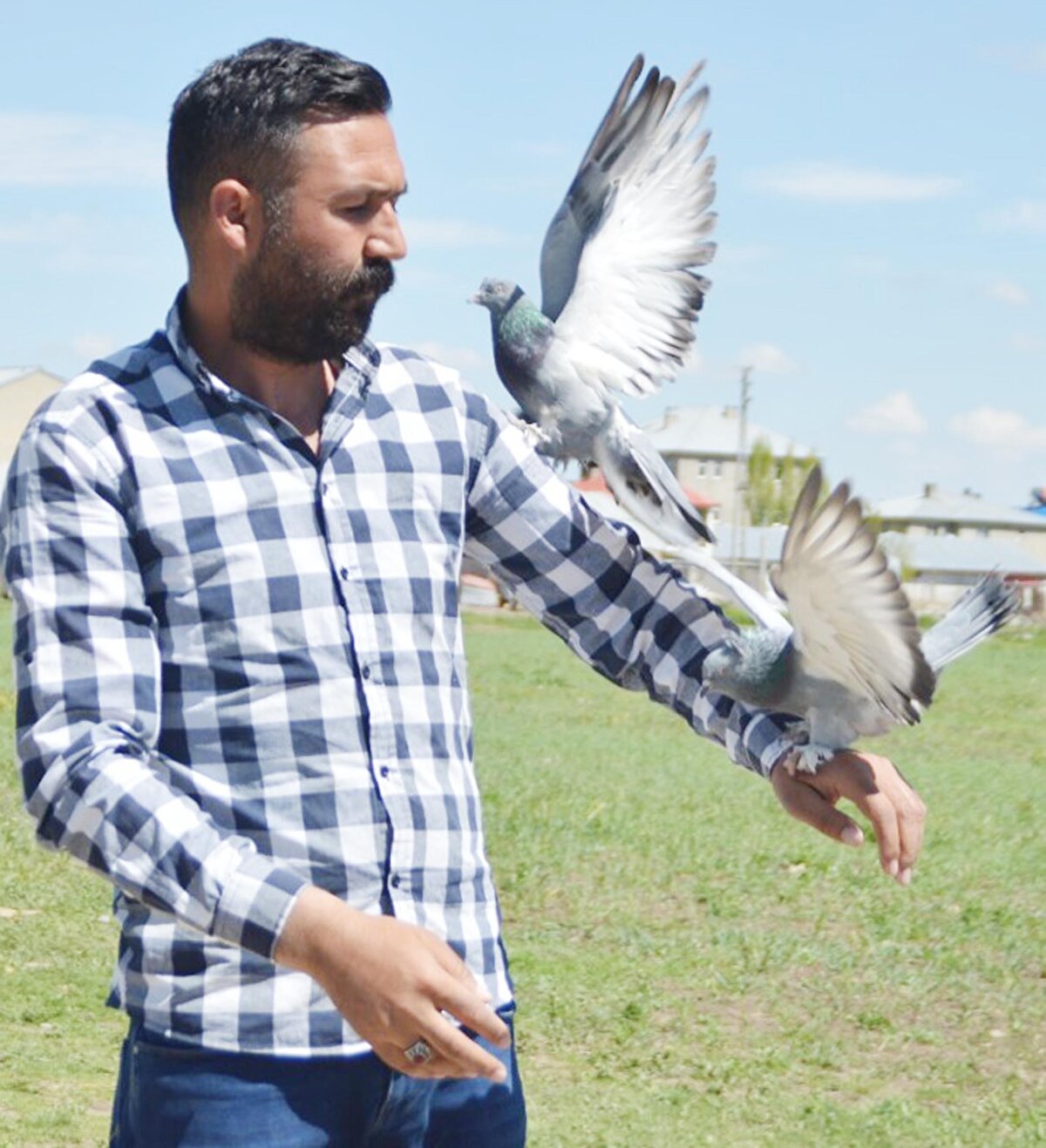 Bu işi para için yapmadığını söyleyen Kaya, "Güvercinlerin ticaretini yapmıyorum. Ama bu işin ticaretini yapanlar var. Onlar bu işi yaparak geçimlerini sağlıyorlar. Bu öyle bir tutku ki, güvercin satın alabilmek için kredi çekenler bile var. Güvercinlerin günlük yem ve ilaç masrafı ise yaklaşık 60 lirayı buluyor. Güvercinler sayesinde hiçbir kötü alışkanlığım yok. Bazen mahalle halkıda gelip bu sevdaya ortak oluyor" ifadelerini kullandı.