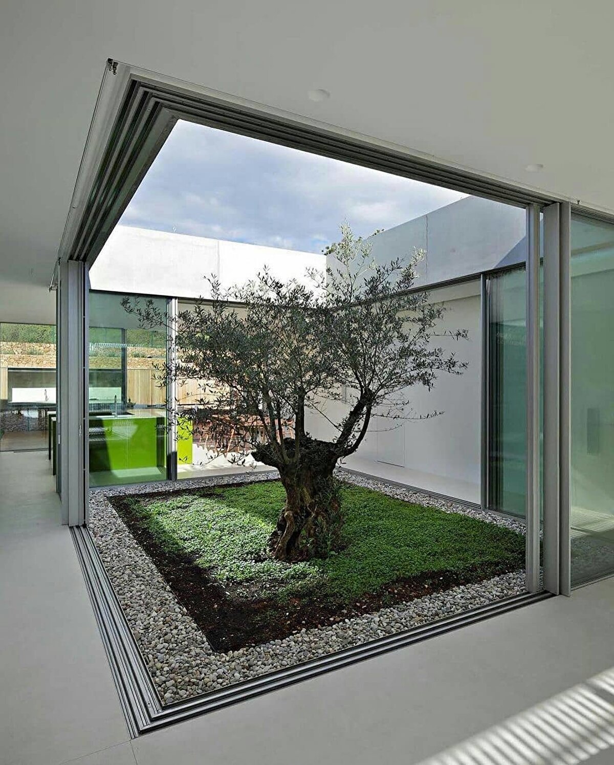 4- Zeytin Evi - Hırvatistan, Pag. Fotoğraf: Robert Leš 