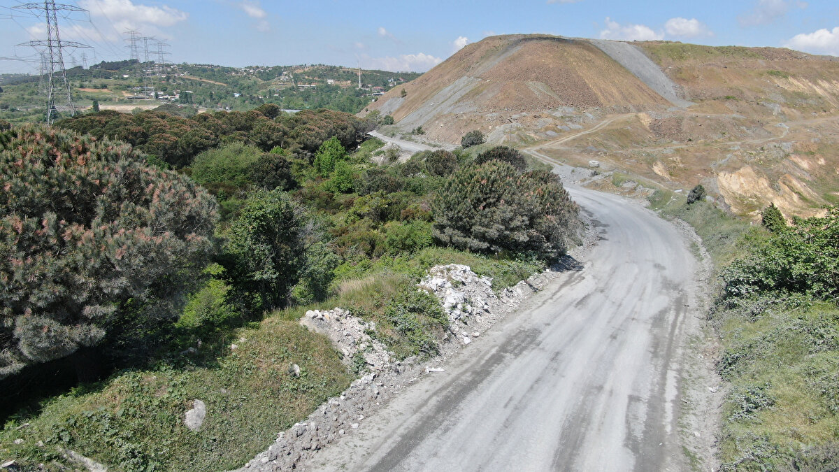 Çukurova Üniversitesi (ÇÜ) Su Ürünleri Fakültesi Temel Bilimler Bölümü öğretim üyesi Doç. Dr. Sedat Gündoğdu plastik atık dağları ile ilgili yaptığı açıklamada atık plastiklerin bir kısmının ise yakılarak imha edilmeye çalışıldığını bu yakılan atıklarında Alibeyköy Barajı'nı da tehdit ettiğini söyledi.