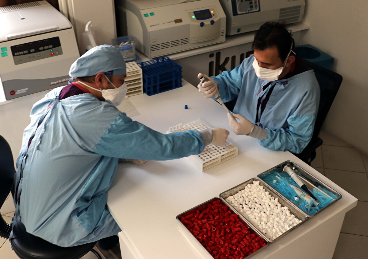 Konuyla ilgili açıklama yapan ERÜ Rektörü Prof. Dr. Mustafa Çalış, şu ifadeleri kullandı:

“Yerli aşıda faz-2 çalışmamız bitti. Çok şükür ki, çok güzel sonuçlar elde ettik. Nisan ayı sonu itibariyle Sağlık Bakanlığımıza raporlayacağımızı ifade etmiştik ve raporladık. Çok güzel sonuçlar elde ettik. Yerli aşı çalışmamız Sağlık Bakanlığı ve TUSEB’in desteğiyle yürüttüğümüz bir çalışmadır. Sağlık Bakanlığı ve TUSEB koordinasyonunda Faz-3 çalışmaları da başladı. İnşallah en kısa zamanda Faz-3 çalışmaları da tamamlanır ve bir an önce yerli aşımıza kavuşuruz.

Faz-3 çalışmaları sonucunda dozlamalarda yapıldıktan sonra hastaneye yatma oranı, hasta olma oranı gibi birçok oranlara bakılacak” diyen Çalış, “Faz-1 çalışmaları daha çok yan etkiyle alakalı çalışmalardır. Orada ciddi bir yan etki görülmedi ve daha sonra faz-2 çalışmasına geçmiştik. Faz-1’de etkinliğe bakılmıştı ama asıl yan etki bakımından ve güvenlik bakımından çok önemliydi. Faz-2 aşaması etkinlik aşamasından çok önemliydi. Faz-2’de beklediğimizin üstünde çok daha iyi sonuçlar elde ettik. Çok gururlandık ve bizi çok mutlu etti. Bunu da Sağlık Bakanlığı’na raporlamış olduk. Faz-3 çalışmaları sonucunda dozlamalarda yapıldıktan sonra hastaneye yatma oranı, hasta olma oranı gibi birçok oranlara bakılacak. Sonrasında da inşallah kısa sürede faz-3 çalışması da başarılı geçer diye ümit ediyoruz ve bir an önce yerli aşımıza geçeriz.”