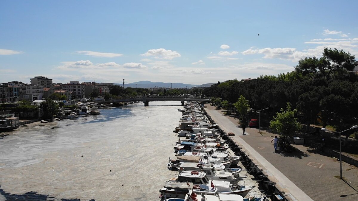 Müsilajın balık fiyatlarını etkilediğini ve denizin dibinde yaşayan midyeleri de öldürdüğünü kaydeden Serim, “Balık fiyatlarını tabii ki etkiliyor. Şu an balık yumurtlama zamanında. Biz, çapara ya da oltayla balık yakaladığımız için bize izin veriyorlar ama çok alelade balık bulamıyoruz. Şimdi balığın yemi yok. Müsilaj midyeyi öldürmüş, perişan etmiş. Zaten piyasada da midye sıkıntısı çekiliyor. Herkes bir yerlerden midye bulmaya uğraşıyor, o da yok” diye konuştu.