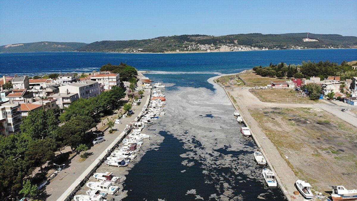Çanakkale’de 50 yıldır balıkçılık yapan Hasan Tınmaz (66), meydana gelen müsilajın denizlerin kirletilmesinden dolayı olduğunu söyledi.