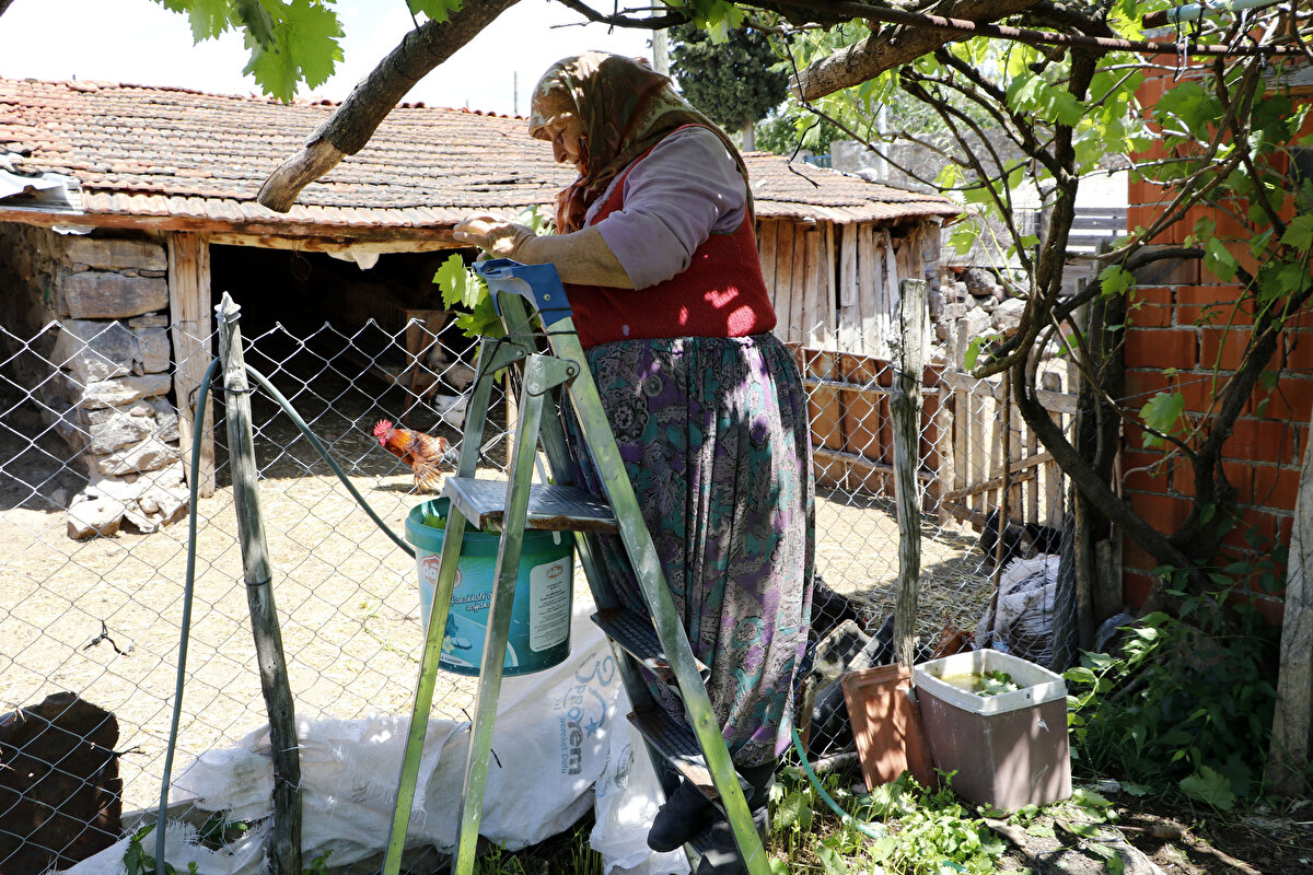 Çevre köylerle pek bağlarının olmadığını ifade eden Ramazan Yalçınkaya (69) ise, "Doğal besleniyoruz. Süt, yoğurt, peyniri kendimiz yapıyoruz. Köy yumurtası tüketiyoruz. Sosyal mesafe, maske ve hijyen kurallarına dikkat ediyoruz" diye konuştu.
