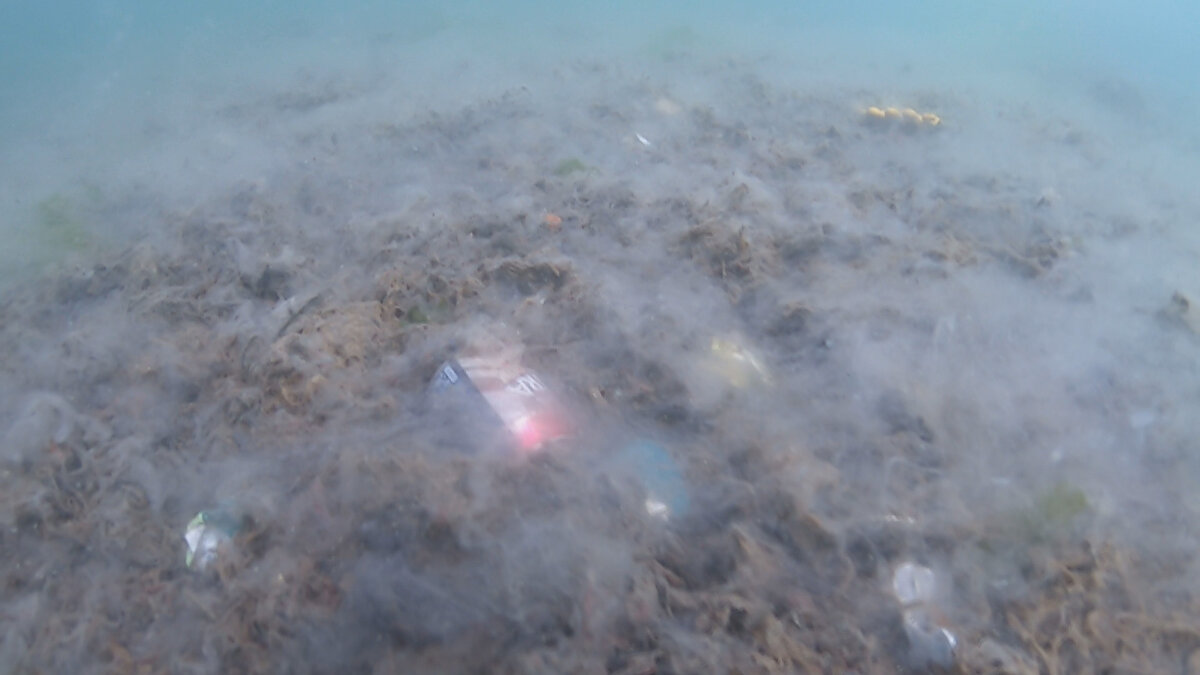 İstanbul'un tüm çevresinde dalış yaptığını belirten Şahintürk, "Şunu söylemem gerekir; İstanbul'un her yeri aynı. Çünkü su sürekli yayılım gösteriyor ve kirlilik dağılıyor. Bu nedenle artık neredeyse dalışlarda balık göremiyoruz. Çünkü suda oksijen olmadığından, deniz salyasından dolayı balıklar uzaklaşıyor. Deniz salyasının son zamanlarda gündem olmasının nedeni ise salyaların artık deniz yüzeyine çıkması. Mart ayındaki dalışlarımızda da salyaları görüyorduk ancak artık yüzeye çıkıyor. İnsanların deniz manzarası bozulduğu için artık daha çok gündem oluyor" diye konuştu. 

