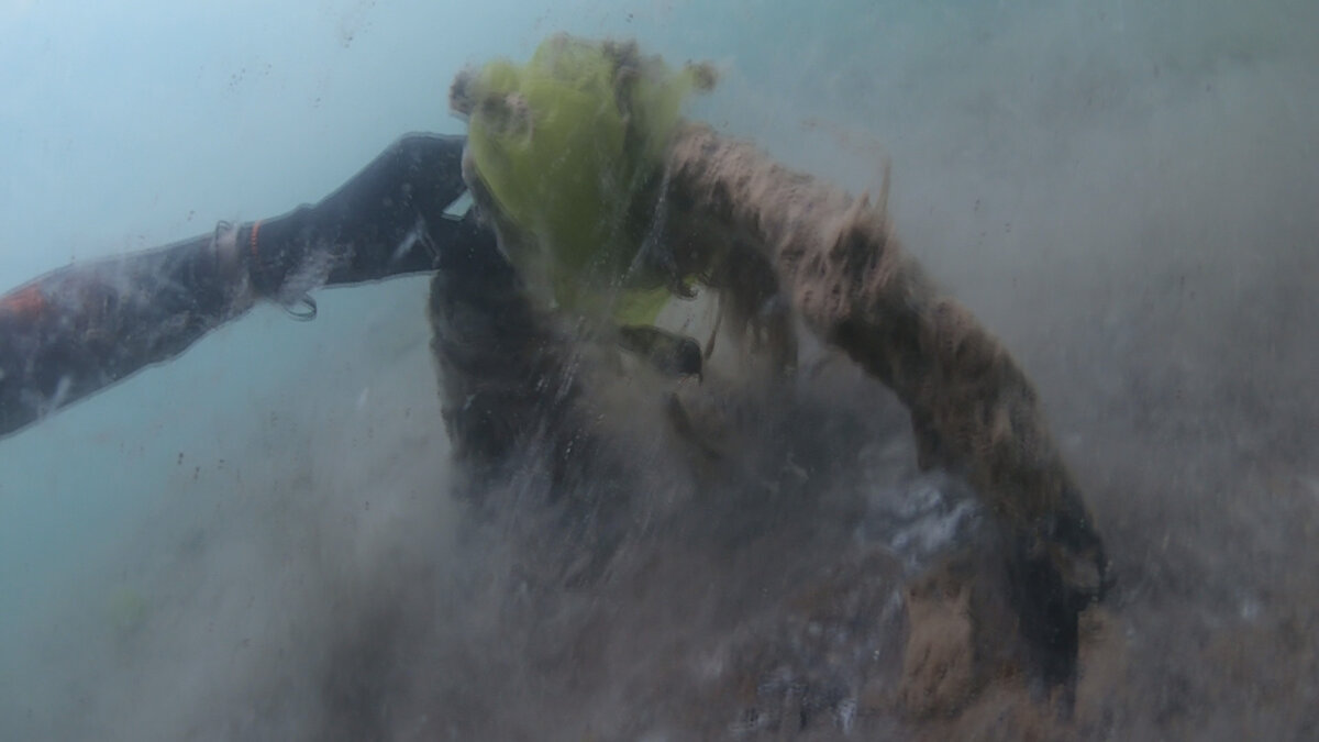 Şahintürk,  "Denizin altında balıkları gördüğümüzde ilerliyoruz. Suda çok kötü bir koku oluyor. Bazı bölgelerden atık bırakılıyor suya. Böyle olduğu zaman suya başımızı sokmadan çıkmamız gerekiyor. Deniz dibinde salyaları hala görebiliyoruz. Salyanın içerisinde hava kabarcığı var ve suda asılı bir şekilde duruyor." şeklinde konuştu.
