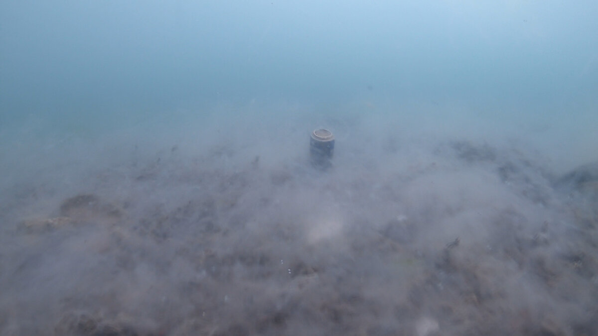 Suların daha iyi filtrelenmesi ve arıtılması gerektiğini vurgulayan İsa Şahintürk, "Deniz salyaları sürekli arttığı zaman yok olma süreleri de uzuyor. Bu şekilde devam ederse deniz salyaları yok olmaz. Suların daha iyi filtrelenmesi ve arıtılması gerekir. Denizin yüzeyinde gördüğümüz deniz salyası neredeyse hiçbir şey. Çünkü mart ayından beri suyun altında biz birbirimizi zor görecek şekilde hareket ediyoruz. Şu an deniz yüzeyine çıkan deniz salyaları dipte bulunan salyaların sadece yüzde beşi. Deniz salyaları tamamen denizin dibine çöküyor" ifadeleri kullandı.  

