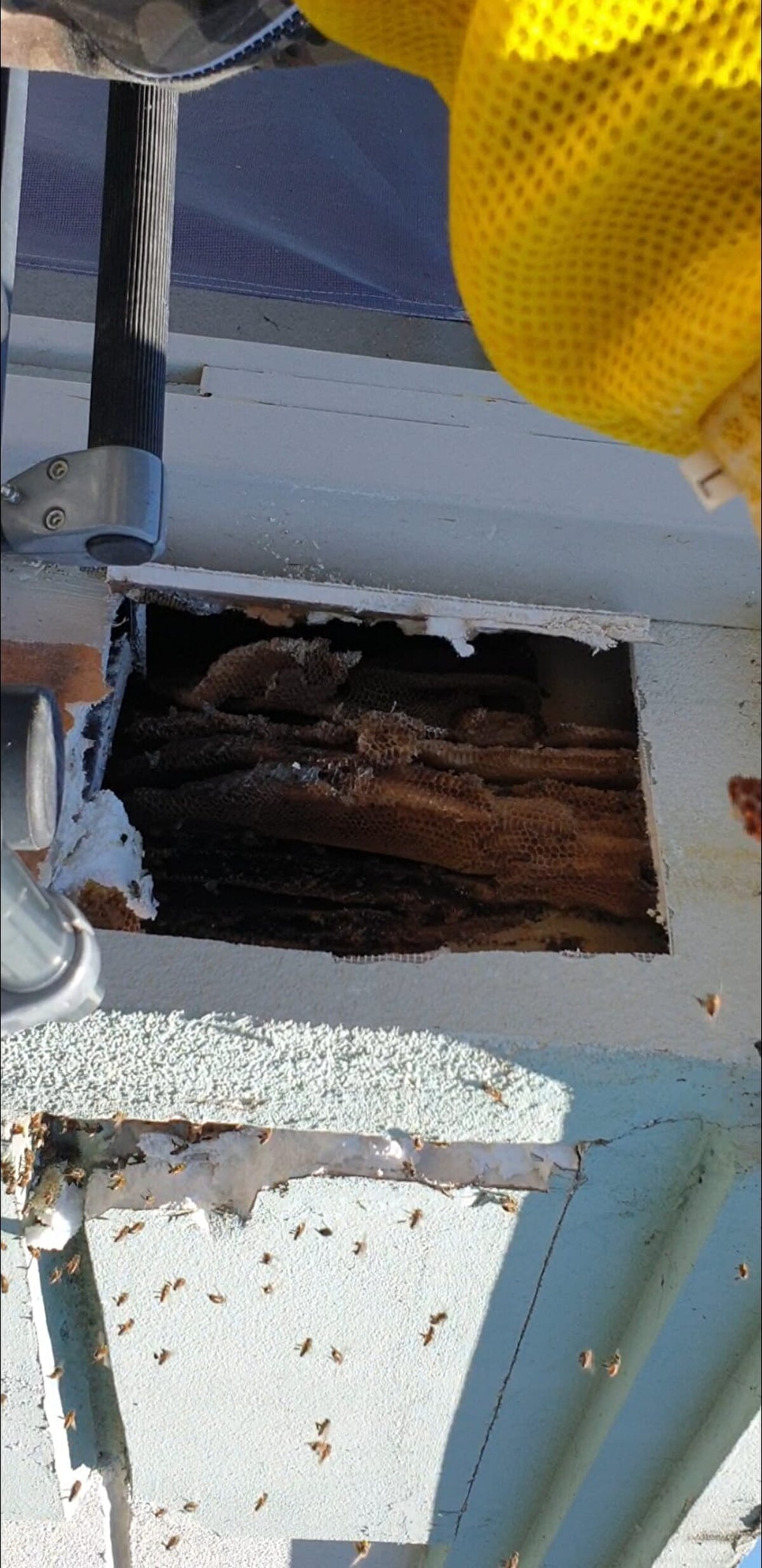 Başarılı olamayınca da itfaiyeye haber verdi. Gelen itfaiye ekipleri, arıcıları merdiven aracıyla kovaların bulunduğu yere ulaştırdı.
