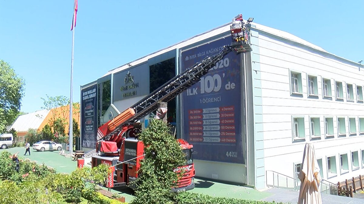 Arıcılar, çekiç ve keski yardımıyla duvarı kırarak arıların bulunduğu yere körük dumanı sıkıp, kraliçe arıya ulaştı. Kraliçe arı ve yavru arılar, ayrı ayrı kovanlara koyup muhafaza altına alan arıcılar, okul duvarından petekleriyle birlikte yaklaşık 50 kilogram bal çıkardı. bal, okul görevlilerine teslim edildi.
