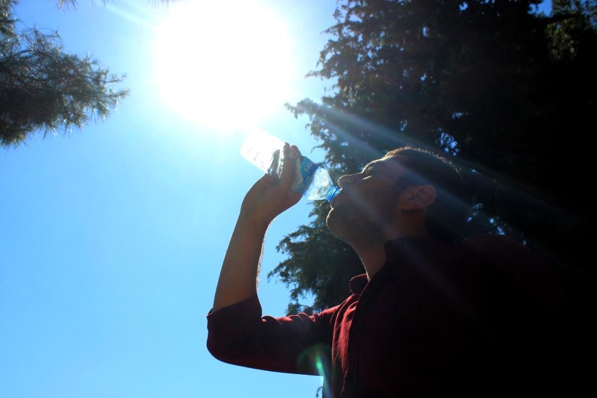 Sahipsiz, yaralı hayvanlar için 160 metrekarelik bir çiftliğinin olduğunu belirten hayvansever Mehmet Yüksel, zor durumda olan canlıları sahiplenmeye çalıştığını belirtti.