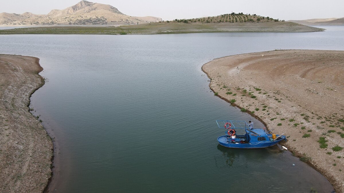 Kuraklıktan adasının da büyük oranda etkilendiğini dile getiren Abay, geçen sene 4 ton kiraz hasadı yaparken bu yıl yemeye bile olmadığını ifade etti.