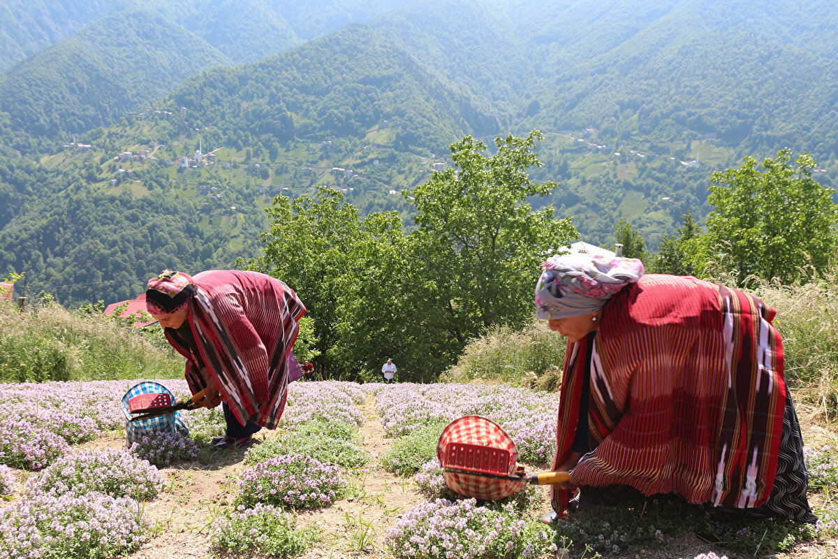 İkizdere Belediye Başkanı Hakan Karagöz ise, bölgeye katma değer katacak çok önemli bir projenin hayata geçirildiğini söyledi. İkizdere Kaymakamı Cafer Kaymakçı da emeği geçen yetkililere teşekkür etti.

