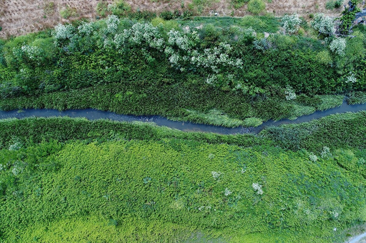 Çevrede bulunan çok sayıda tarım arazisinin yanından geçen dereden çevreye pis kokular yayılıyor. Bölgede çiftçilik yapan ve yaşayan vatandaşlar durumdan endişe duyduklarını ifade ederek belediyenin duruma el atmasını beklediklerini söyledi.
