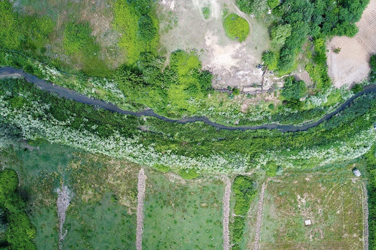 Daha önce aynı kirlilik ile karşılaştıklarını ifade eden Eyüp sultan Ziraat Odası Genel Sekreteri Mustafa Kayabaşı, “Belediyenin ‘Temiz Su Temiz Çevre’ sloganı vardı. Kirli su kirli çevre görmeye başlıyoruz. Galiba İSKİ bir çalışma başlatmış, ancak o çalışma bitene kadar bu giderlerin depolanıp aktarılması gerekiyor.

