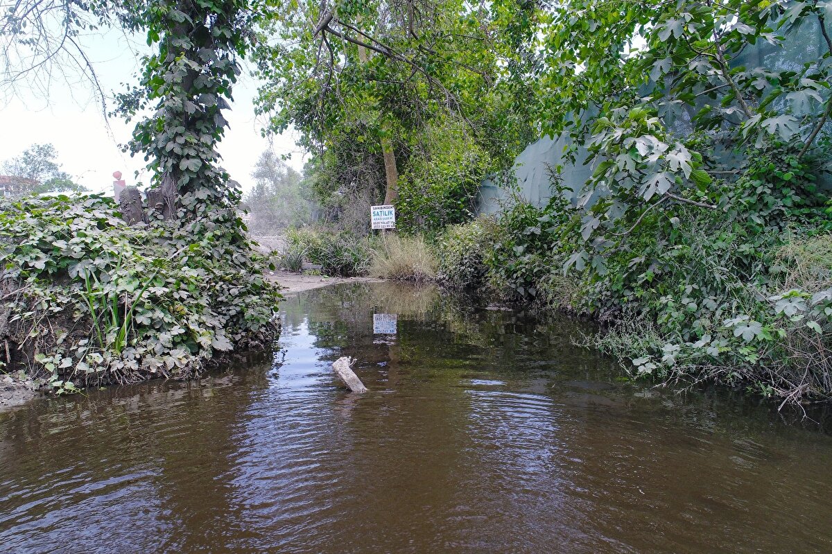 İstanbul’da Terkos Gölü’nden Haliç’e uzanan Kağıthane Deresi’nde meydana gelen renk değişikliği ve kötü kokular çiftçilerin ve vatandaşların tepkisini topladı.

