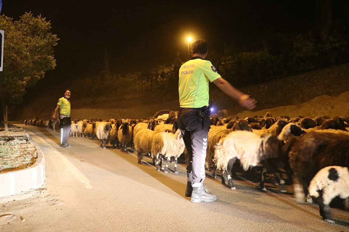 Çoban Yakup Kaymaz, 1,5 aydır yollarda olduğunu belirterek, "Biz Şırnak'ın Cizre ilçesinden geliyoruz. 4 sürü halinde 1,5 aylık yolculuktan sonra Hakkari şehir merkezine vardık. Çok zor yolculuğu geride bıraktık. Polis ekipleri bize şehir merkezi boyunca eşlik etti. Hepsinden Allah razı olsun" dedi.

