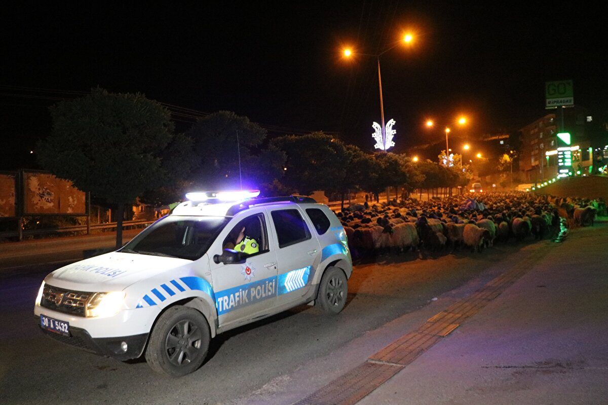Bu sırada Hakkari- Van yoluna inen koyun sürüsü, ulaşımı etkiledi. Trafik polislerinin eskortluk yaptığı sürü, sürücülerin şaşkın bakışları arasında yola devam etti.

