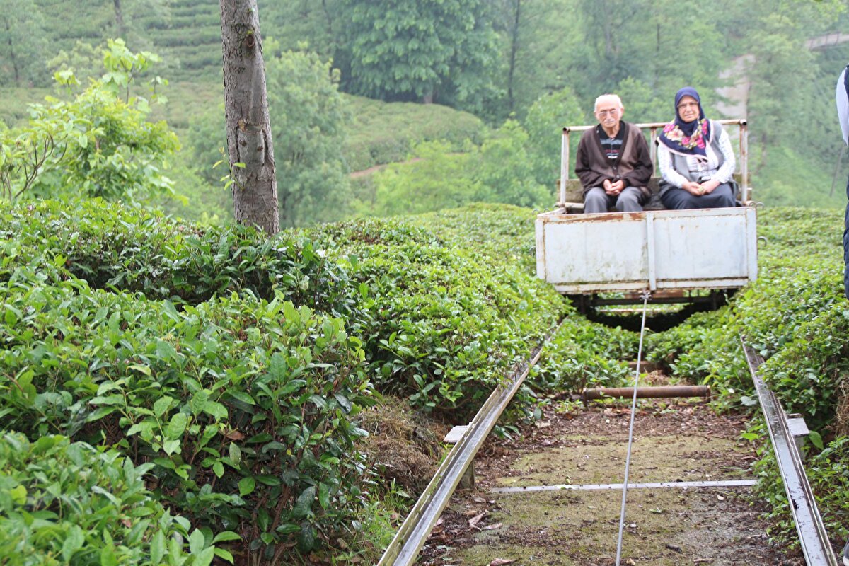 Rize'nin Kalkandere ilçesinde yaşayan Ali Rıza Yıldız bir tepede yer alan evlerine 25 yıl önce araç yolu yapmak istedi.
