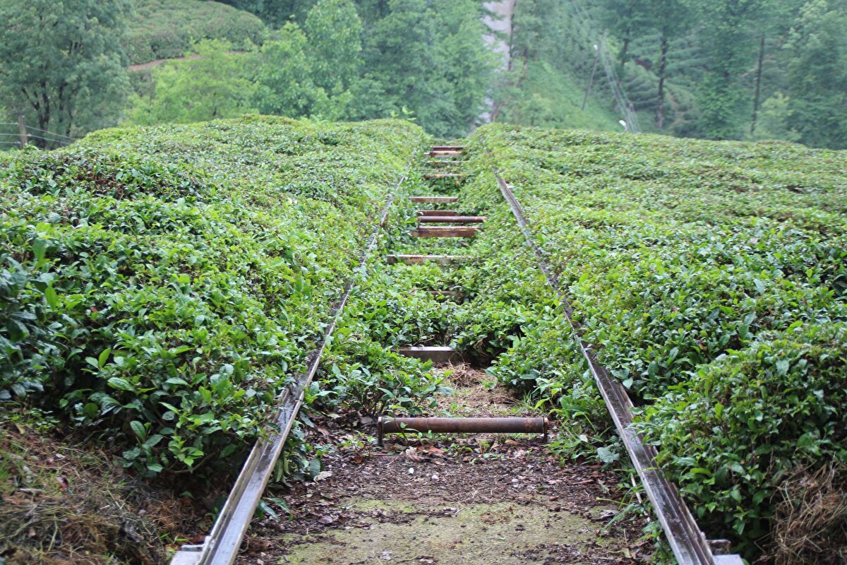 Yıldız'ın uzaktan kumanda ile de çalışan raylı sistemli ulaşım yolculuğu 25 yıldır sürüyor.
