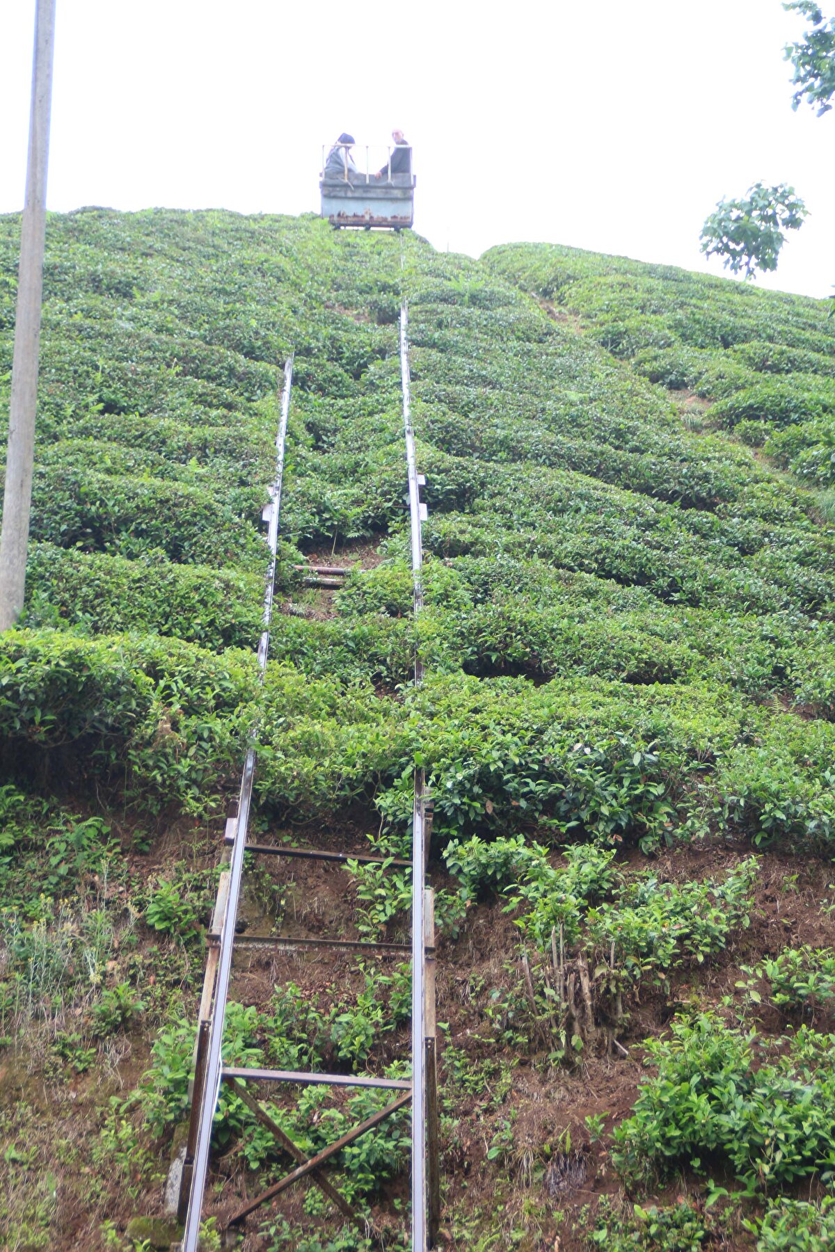 Eşi Harbiye Yıldız ise, “İlk başlarda binmek için tereddüt ettim. Ama şimdi korkmadan biniyorum. Çok güvenli. Hiçbir sorun olmadı. İlk başta uzaktan kumanda yoktu. Şimdi uzaktan kumanda ile kimseye ihtiyaç kalmadı. Eve kolayca inip çıkıyoruz” dedi.
